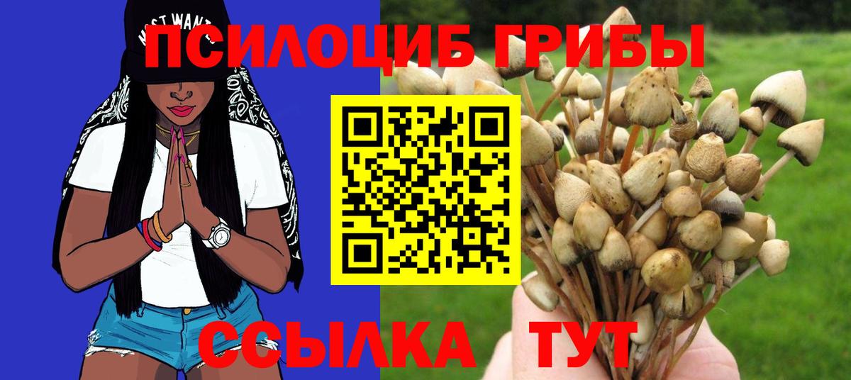 Псилоцибиновые грибы GOLDEN TEACHER  Псилоцибиновые грибы прущие грибы  Вход с VPN  Ипатово 