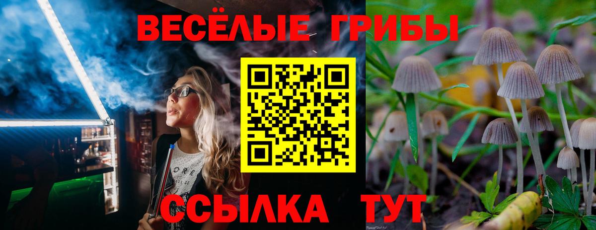 Псилоцибиновые грибы GOLDEN TEACHER Ипатово